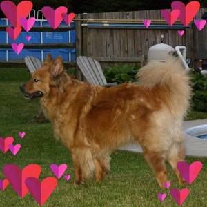 Meet your Posher, Renee